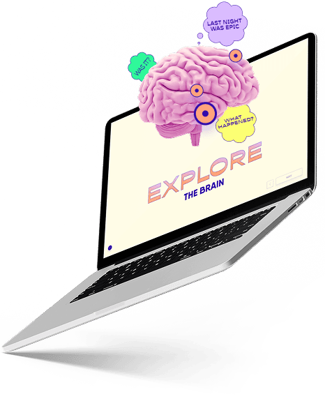 Laptop showing Explore the Brain interactive screen